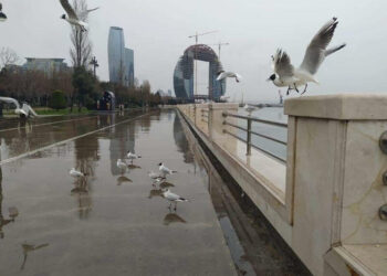Sabah Bakıda duman olacaq, yağış yağacaq