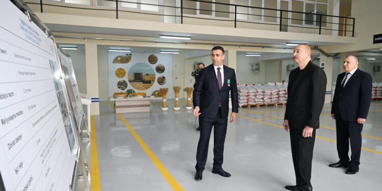 İlham Əliyev Sabirabad Sənaye Məhəlləsində toxum istehsalı müəssisəsinin fəaliyyəti ilə tanış olub - VİDEO - FOTOLAR