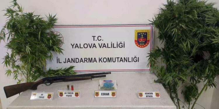 İki narkotik alverçisi saxlanıldı