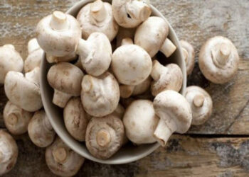 Göbələk alanda nələrə diqqət etmək lazımdır?