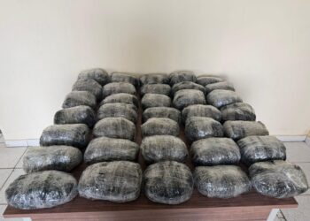 Külli miqdarda narkotik vasitənin ölkə ərazisinə keçirilməsinin qarşısı alınıb