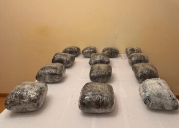 Narkotik vasitəni ölkə ərazisinə keçirməyə cəhd göstərən şəxslər saxlanılıb