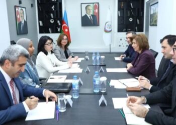 Bahar Muradova və Kaori İşikava arasında əməkdaşlıq imkanları müzakirə edilib