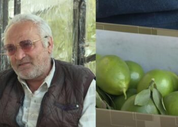 50 qəpiyə limon satır, hesabında milyonu var – VİDEO