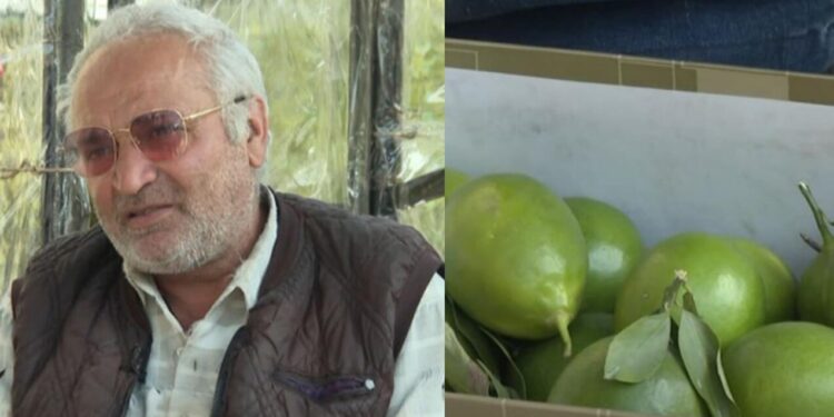 50 qəpiyə limon satır, hesabında milyonu var - VİDEO