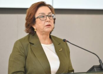 Məleykə Abbaszadə: “Bu xidmət ödənişli olacaq”