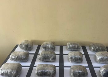 Külli miqdarda narkotik vasitənin ölkə ərazisinə keçirilməsinin qarşısı alınıb