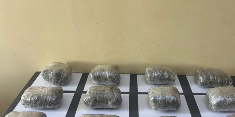 Külli miqdarda narkotik vasitənin ölkə ərazisinə keçirilməsinin qarşısı alınıb