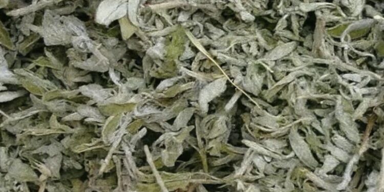 Səhər dəriləndə qiyməti od bahasına olur: Hətta səkidə belə yetişir