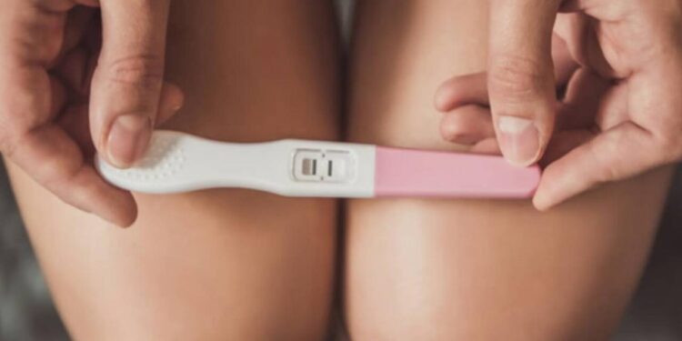 Rusiyada tələbə hamilə qızlara 2800 manat veriləcək