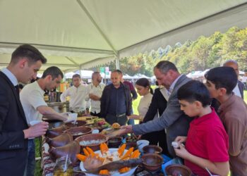 Lerikdə ilk dəfə “Eko Festival” keçirilib