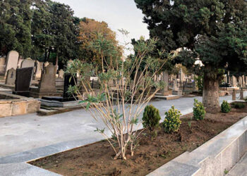 Azərbaycanda 2 nəfər qəbiristanlıqda öldü