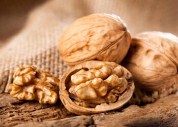 Gündə bir ovuc qoz yeyin – Beyni gücləndirir