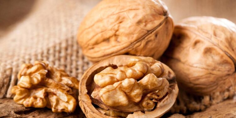 Gündə bir ovuc qoz yeyin – Beyni gücləndirir