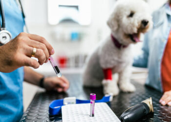 “Analizə 600 manat ödədim, qəbz istəyəndə mənə güldülər…”