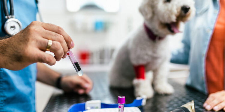 “Analizə 600 manat ödədim, qəbz istəyəndə mənə güldülər…”