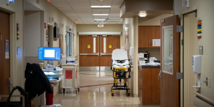 Şirvanda bacı və qardaş bıçaqlandı