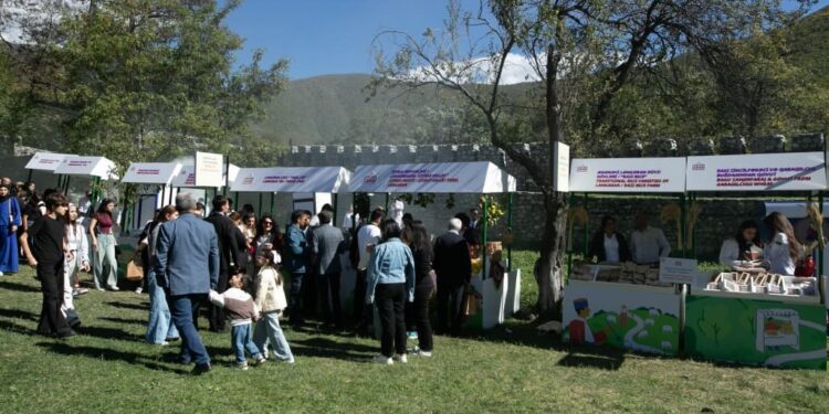 Şəki “Terra Madre” qastronomiya festivalına ev sahibliyi edir