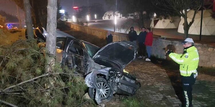 Avtomobil ağaca çırpıldı: 1 yaralı