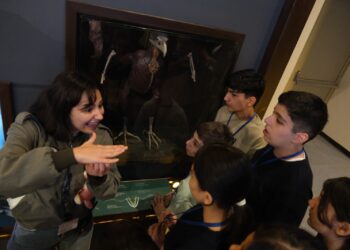 Şəhid ailələrinin övladlarına Türkiyənin GUHEM mərkəzində qış düşərgəsi təşkil olunur