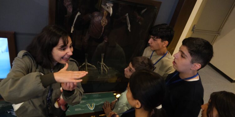 Şəhid ailələrinin övladlarına Türkiyənin GUHEM mərkəzində qış düşərgəsi təşkil olunur