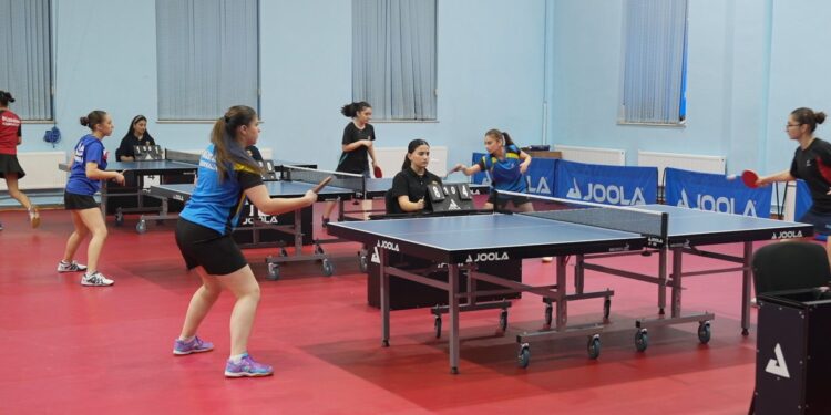 Stolüstü tennis üzrə Ölkə kuboku turniri keçirilir