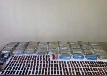 Külli miqdarda narkotik vasitənin uçuş aparatı vasitəsilə ölkə ərazisinə keçirilməsinin qarşısı alınıb