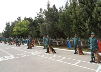 “Sərhədçilərin dostu” şüarı altında 7-ci kinoloji yarışları keçirilib