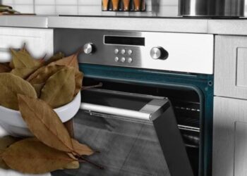 Sobaya dəfnə yarpağı qoyun – nəticəyə inanmayacaqsınız