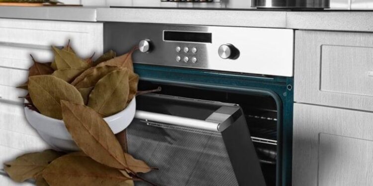 Sobaya dəfnə yarpağı qoyun - nəticəyə inanmayacaqsınız