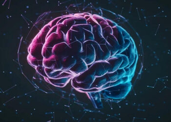 Alimlər beyni qocalmaqdan qorumağın yolunu tapdı