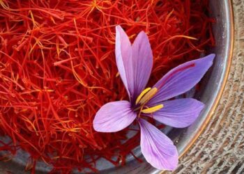 Kilosu 33 000 manatdır – “Qızıl dəyərində” ədviyyat