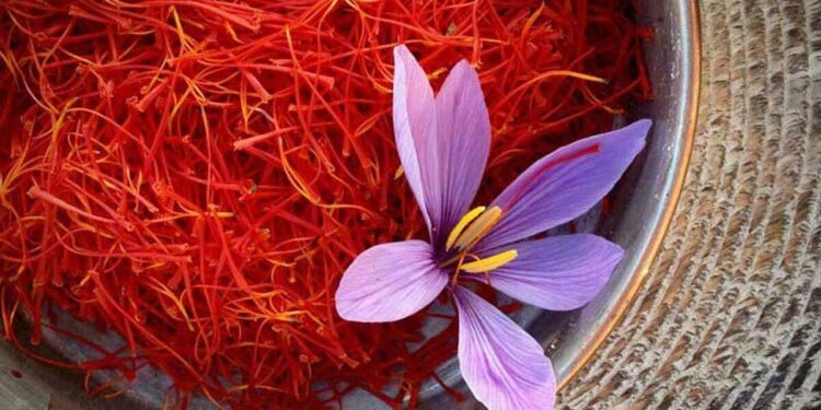 Kilosu 33 000 manatdır - “Qızıl dəyərində” ədviyyat