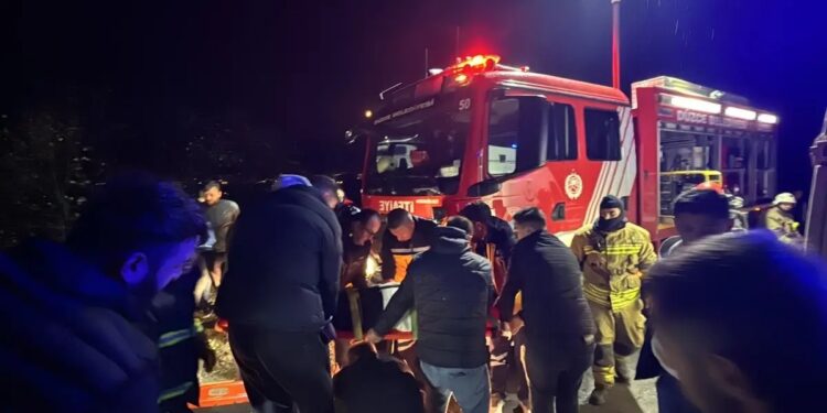 Avtomobil yol kənarına aşdı: 2 yaralı