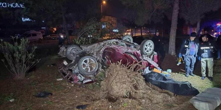 Avtomobil aşaraq çırpıldığı ağacı kökündən qopardı