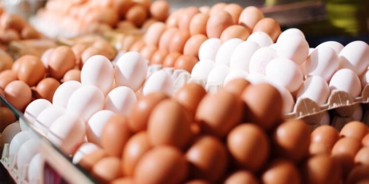 Yumurta kəskin bahalaşdı - Səbəb nədir? - AÇIQLAMA
