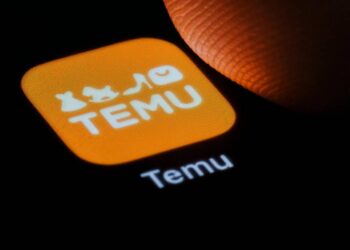 Temudan “yolka” sifariş verdi, görün nə gəldi – FOTOLAR