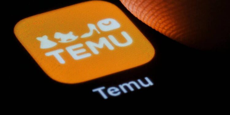 Temudan "yolka" sifariş verdi, görün nə gəldi - FOTOLAR