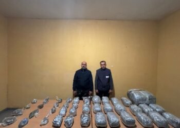 Külli miqdarda narkotik vasitənin ölkə ərazisinə keçirilməsinin qarşısı alınıb