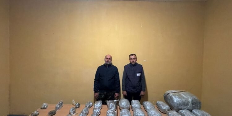 Külli miqdarda narkotik vasitənin ölkə ərazisinə keçirilməsinin qarşısı alınıb