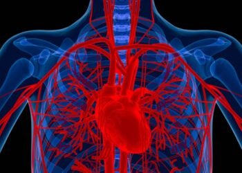 Alimlər xəstənin öz hüceyrələrindən damar hazırladı