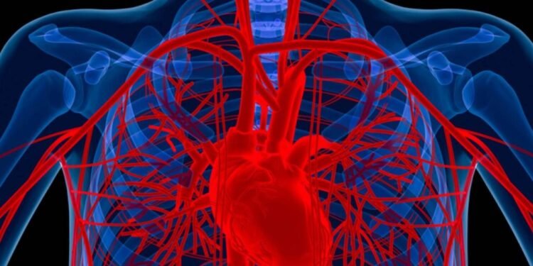 Alimlər xəstənin öz hüceyrələrindən damar hazırladı