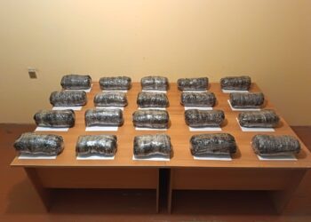 Külli miqdarda narkotik vasitənin ölkə ərazisinə keçirilməsinin qarşısı alınıb