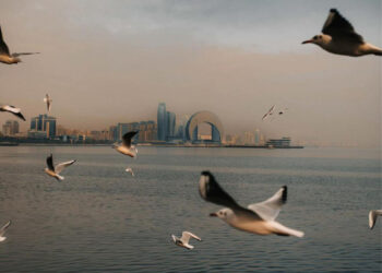 Bakıya yağış, rayonlara qar yağacaq