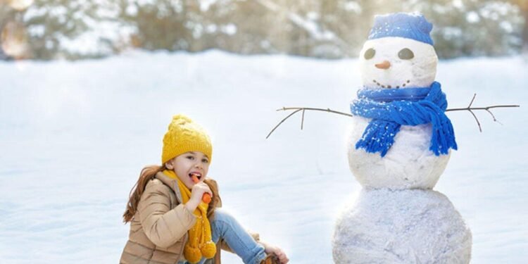 Hava ilə bağlı XƏBƏRDARLIQ - Bu tarixə qədər qar yağacaq