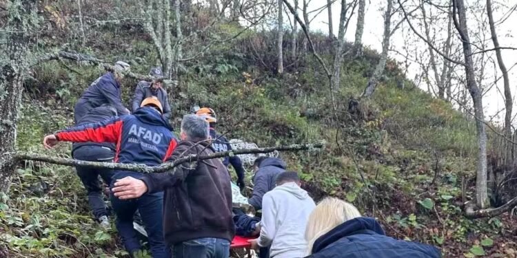 Avtomobil meşəyə aşdı: 2 yaralı