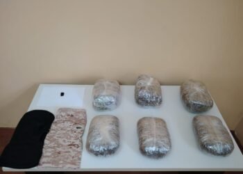 Narkotik vasitələrin ölkə ərazisinə keçirilməsinin qarşısı alınmışdır