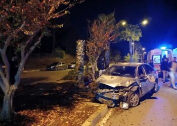 Avtomobil palma ağacına çırpıldı: Sürücü yaralandı