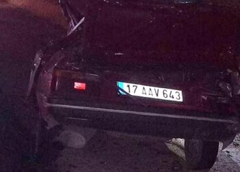 Avtomobil ağaca çırpıldı: Sürücü öldü