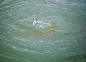 50 yaşlı kişi su kanalında boğularaq öldü